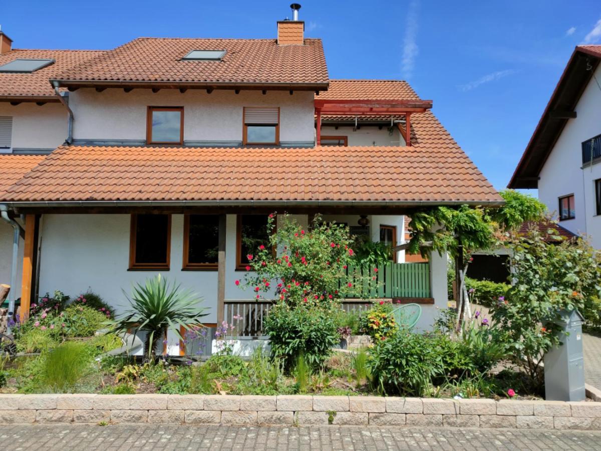 Soutterain - Wohnung Mit Senkgarten Weingarten  المظهر الخارجي الصورة